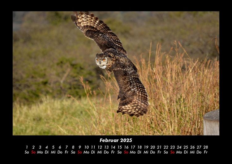 Produktbild: Vogelparadies 2025 Fotokalender DIN A3