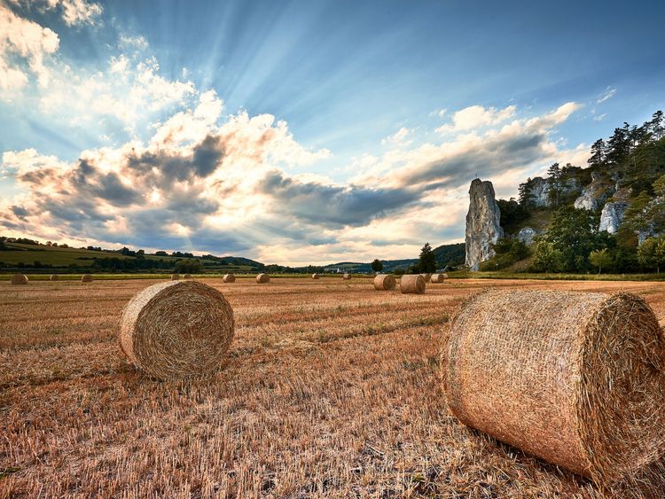 Produktbild: CALVENDO Puzzle Nach der Ernte am Burgsteinfelsen | 1000 Teile Lege-Gr&ouml;&szlig;e 64x48cm Foto-Puzzle f&uuml;r gl&uuml;ckliche Stunden