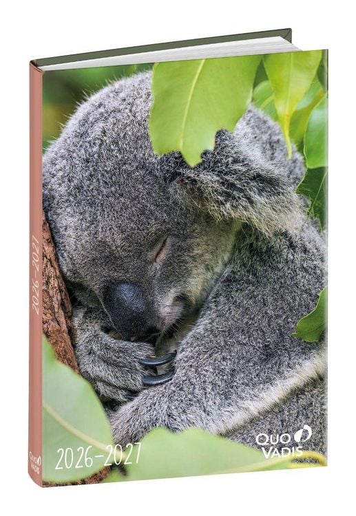 Produktbild: Sch&uuml;lerkalender Forum Tiere Koala 2026 / 2027