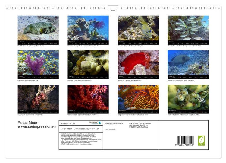 Produktbild: Rotes Meer - Unterwasserimpressionen (Wandkalender 2026 DIN A3 quer), CALVENDO Monatskalender