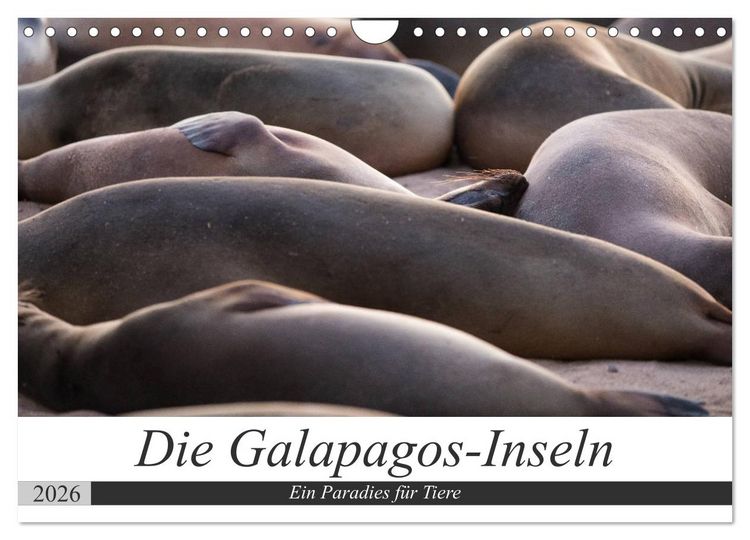 Produktbild: Galapagos-Inseln - Ein Paradies f&uuml;r Tiere (Wandkalender 2026 DIN A4 quer), CALVENDO Monatskalender