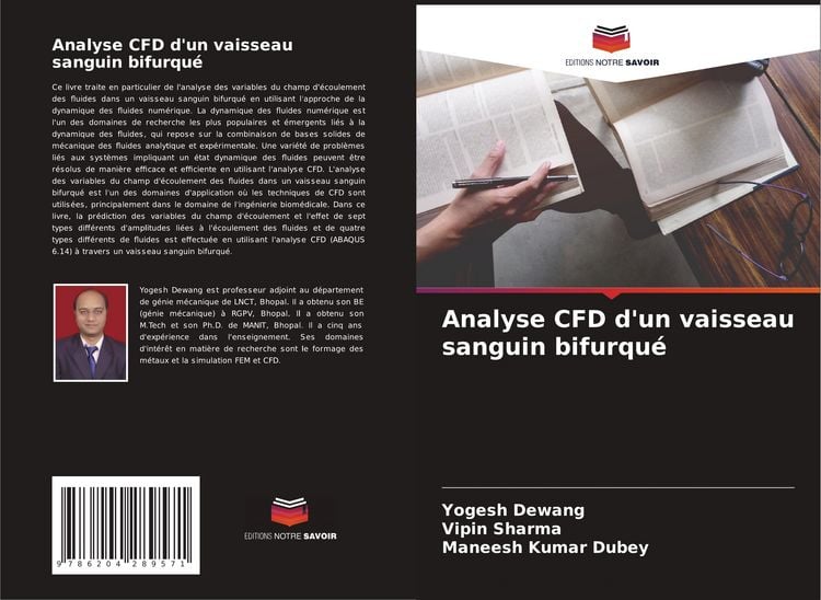 Produktbild: Analyse CFD d'un vaisseau sanguin bifurqu&eacute;