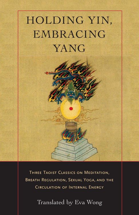 Produktbild: Holding Yin, Embracing Yang