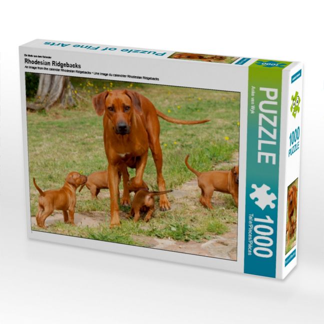 Produktbild: CALVENDO Puzzle Ein Motiv aus dem Kalender Rhodesian Ridgebacks | 1000 Teile Lege-Gr&ouml;&szlig;e 64x48cm Foto-Puzzle f&uuml;r gl&uuml;ckliche Stunden