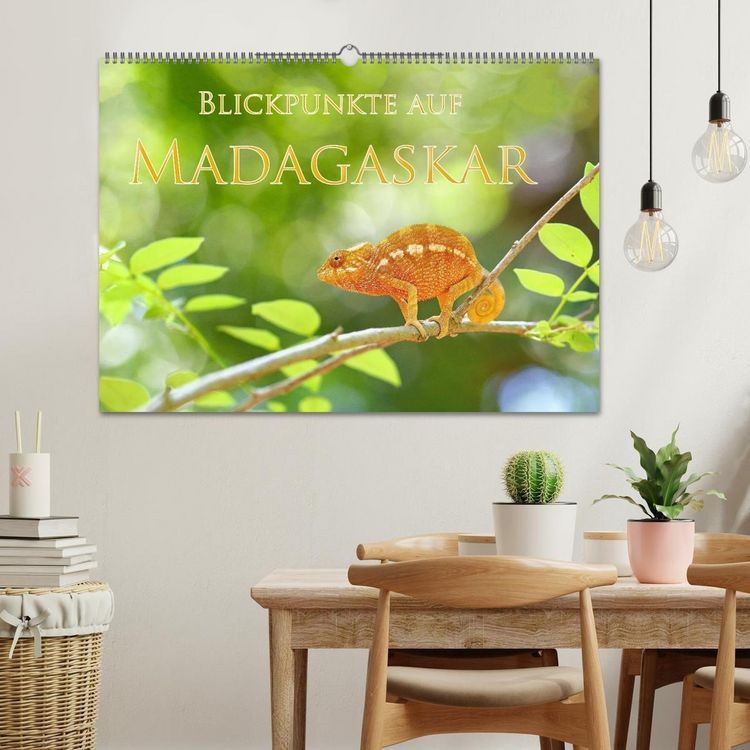 Produktbild: Blickpunkte auf Madagaskar (Wandkalender 2027 DIN A2 quer), CALVENDO Monatskalender