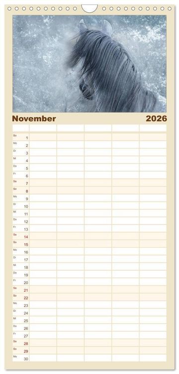 Produktbild: Familienplaner 2026 - Pferde zum Tr&auml;umen mit 5 Spalten (Wandkalender, 21 x 45 cm) CALVENDO