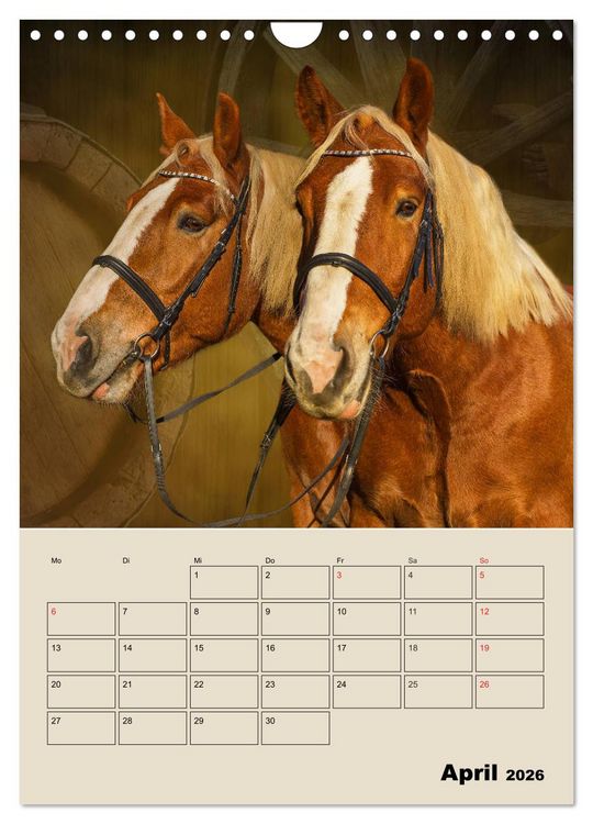 Produktbild: Pferdetr&auml;umereien - Traumbilder von Traumpferden (Wandkalender 2026 DIN A4 hoch), CALVENDO Monatskalender