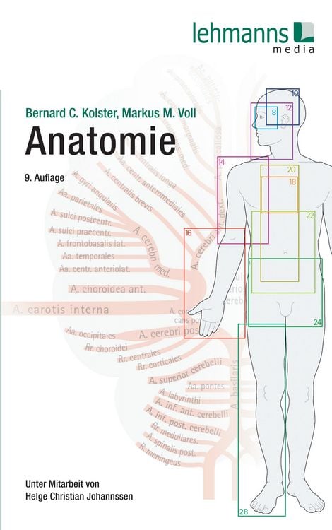 Produktbild: Anatomie