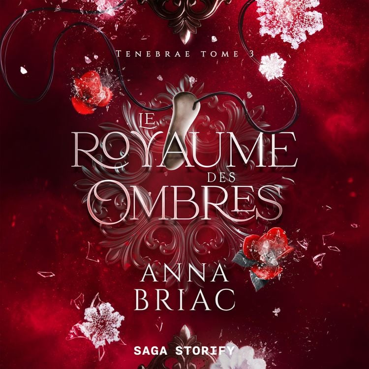 Produktbild: Tenebr&auml;e tome 3: Le Royaume des ombres