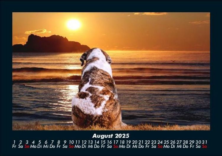 Produktbild: Sonnenunterg&auml;nge 2025 Fotokalender DIN A5