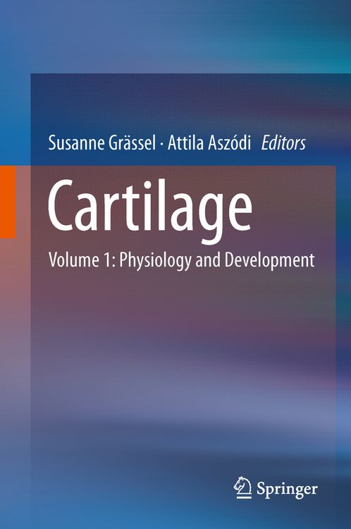 Produktbild: Cartilage
