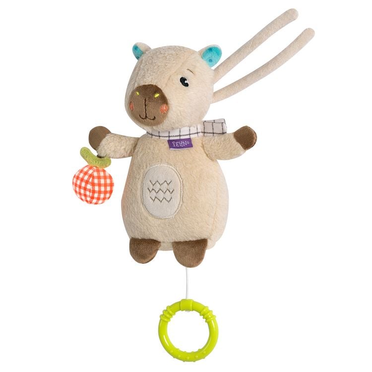 Produktbild: Mini-Spieluhr Capybara