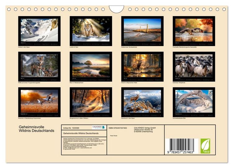 Produktbild: Geheimnisvolle Wildnis Deutschlands (Wandkalender 2026 DIN A4 quer), CALVENDO Monatskalender