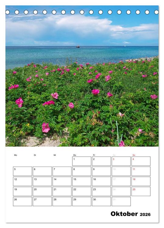 Produktbild: R&uuml;gen und Hiddensee - Bilder eines Sommers / Planer (Tischkalender 2026 DIN A5 hoch), CALVENDO Monatskalender