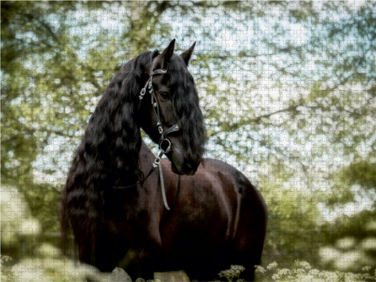 Produktbild: CALVENDO Puzzle Friese | 1000 Teile Lege-Gr&ouml;&szlig;e 64x48cm Foto-Puzzle f&uuml;r gl&uuml;ckliche Stunden