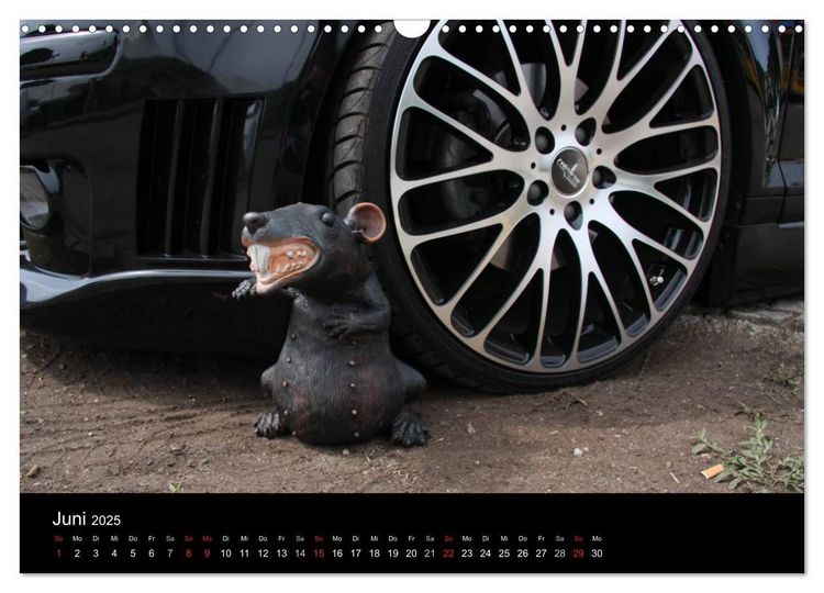 Produktbild: Burnout am W&ouml;rthersee (Wandkalender 2025 DIN A3 quer), CALVENDO Monatskalender