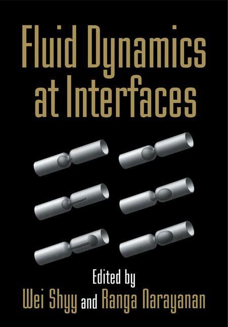 Produktbild: Fluid Dynamics at Interfaces