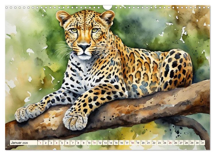 Produktbild: Zauberhafte Aquarelle von Afrikas Tierwelt (Wandkalender 2026 DIN A3 quer), CALVENDO Monatskalender