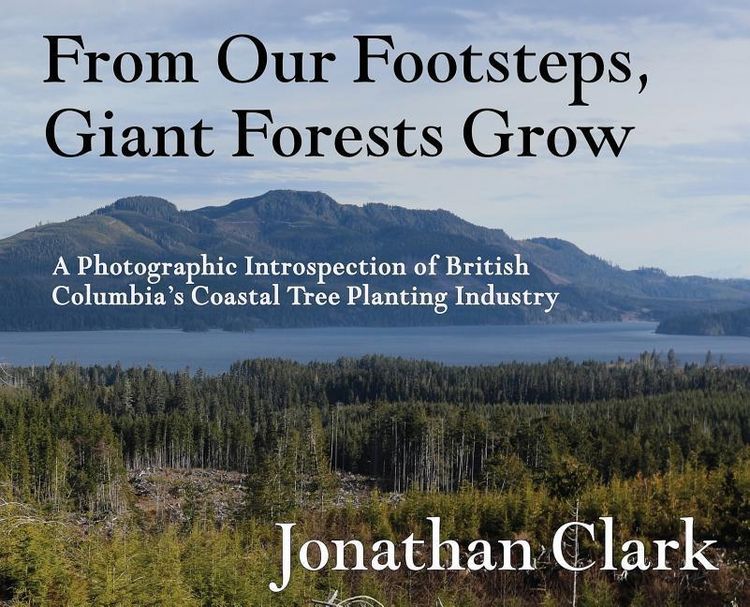 Produktbild: From Our Footsteps, Giant Forests Grow