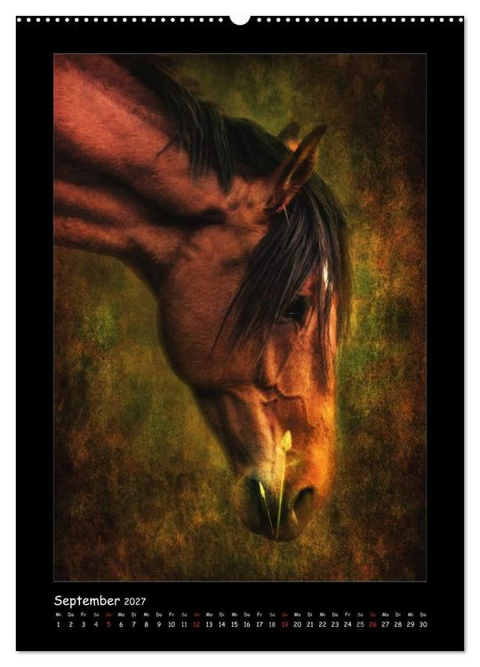 Produktbild: Art Horse 2027 (Wandkalender 2027 DIN A2 hoch), CALVENDO Monatskalender
