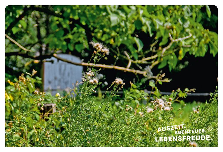 Produktbild: 52 kleine & gro&szlig;e Eskapaden am Niederrhein