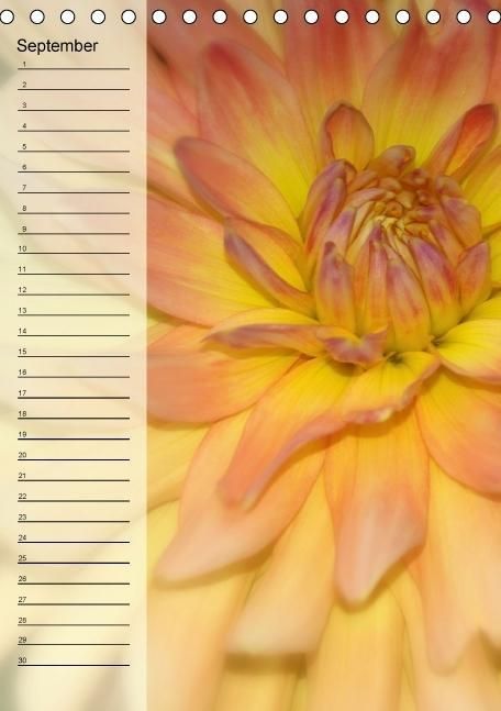 Produktbild: Immerw&auml;hrender Geburtstagskalender - Bl&uuml;tentr&auml;ume (Tischkalender immerw&auml;hrend DIN A5 hoch)