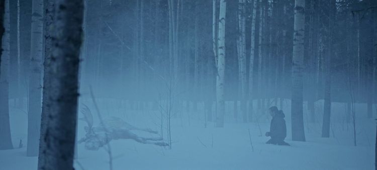Produktbild: Cold Meat