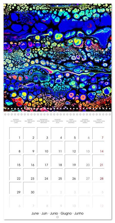 Produktbild: Your year full of rainbows by Katharina Stachanczyk (Wall Calendar 2026 12 &times; 12 Inch) CALVENDO 12 Month Wall Calendar