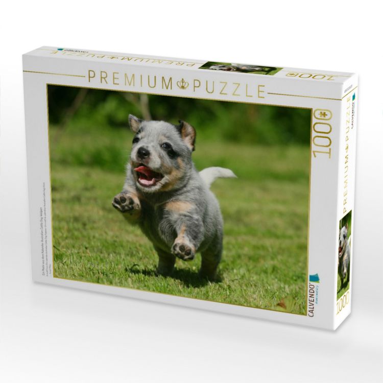 Produktbild: CALVENDO Puzzle Ein Motiv aus dem Kalender Australian Cattle Dog Welpen | 1000 Teile Lege-Gr&ouml;&szlig;e 64x48cm Foto-Puzzle f&uuml;r gl&uuml;ckliche Stunden