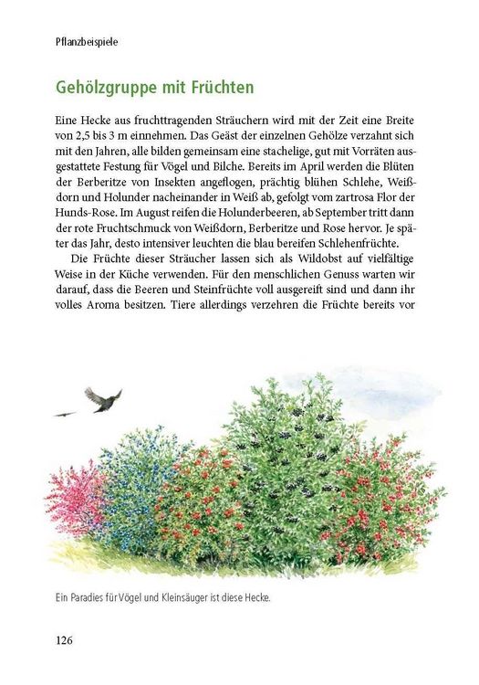 Produktbild: Lebensraum Geh&ouml;lz