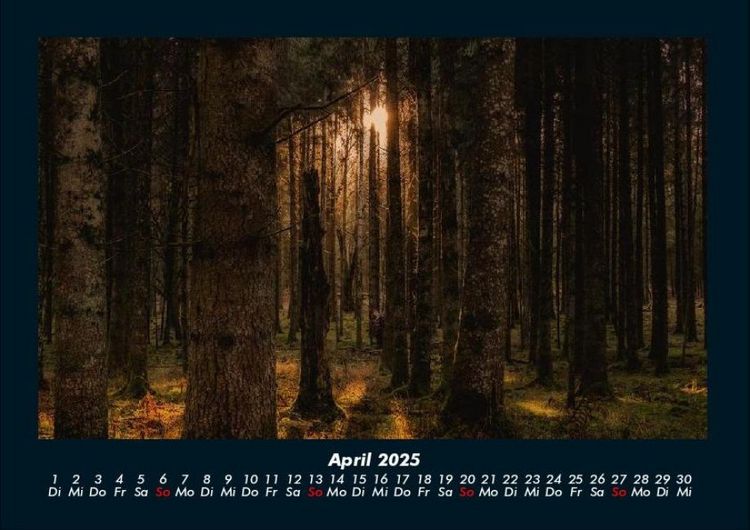 Produktbild: Waldzauber 2025 Fotokalender DIN A4