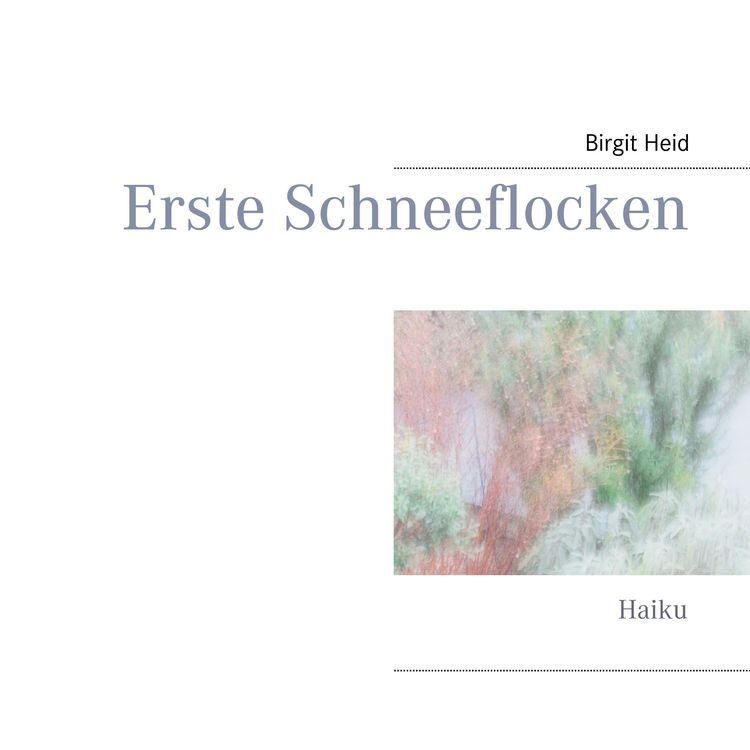 Produktbild: Erste Schneeflocken