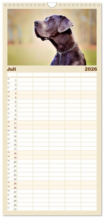 Produktbild: Familienplaner 2026 - Deutsche Doggen / Geburtstagskalender mit 5 Spalten (Wandkalender, 21 x 45 cm) CALVENDO