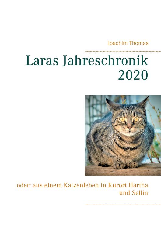 Produktbild: Laras Jahreschronik 2020
