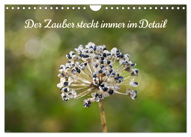 Produktbild: Der Zauber steckt immer im Detail (Wandkalender 2026 DIN A4 quer), CALVENDO Monatskalender