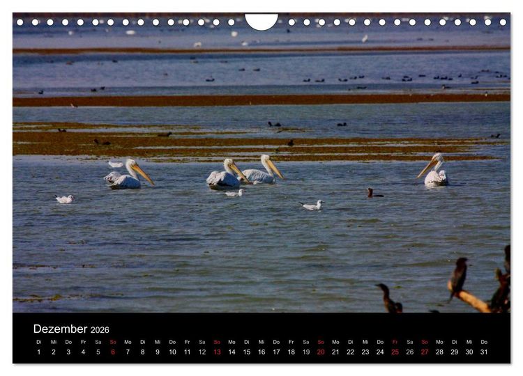 Produktbild: Donaudelta (Wandkalender 2026 DIN A4 quer), CALVENDO Monatskalender