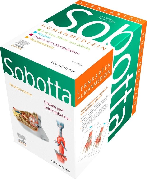 Produktbild: Sobotta Lernkarten Anatomie für die Humanmedizin