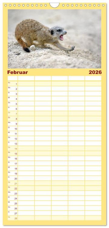 Produktbild: Familienplaner 2026 - Lustige Erdm&auml;nnchen mit 5 Spalten (Wandkalender, 21 x 45 cm) CALVENDO