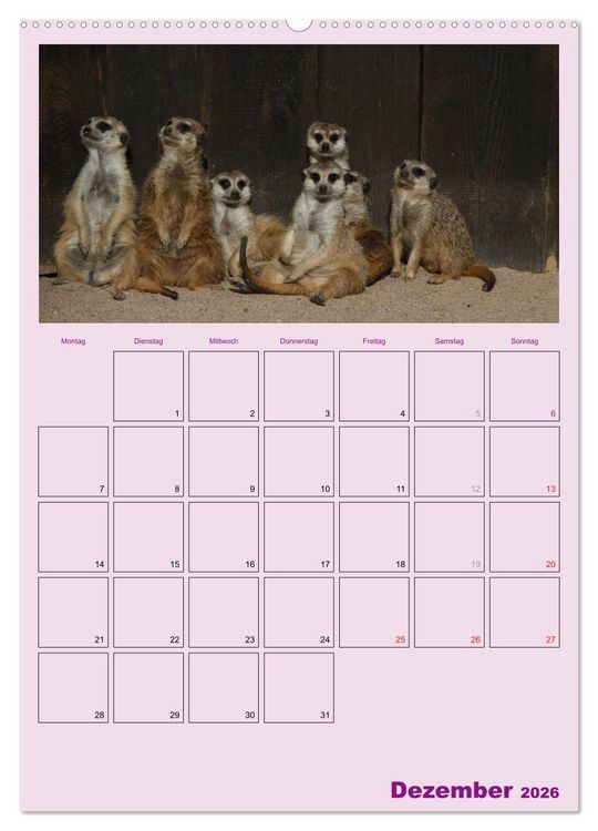 Produktbild: Erdm&auml;nnchen / Terminplaner (Wandkalender 2026 DIN A2 hoch), CALVENDO Monatskalender