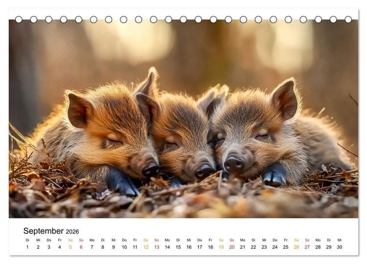 Produktbild: Wenn Tierchen tr&auml;umen (Tischkalender 2026 DIN A5 quer), CALVENDO Monatskalender