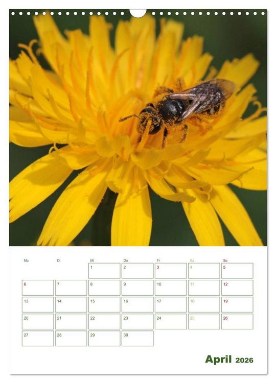Produktbild: Bienen-Terminplaner 2026 (Wandkalender 2026 DIN A3 hoch), CALVENDO Monatskalender