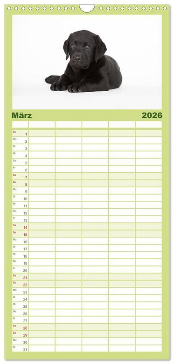 Produktbild: Familienplaner 2026 - Labrador Retriever mit 5 Spalten (Wandkalender, 21 x 45 cm) CALVENDO