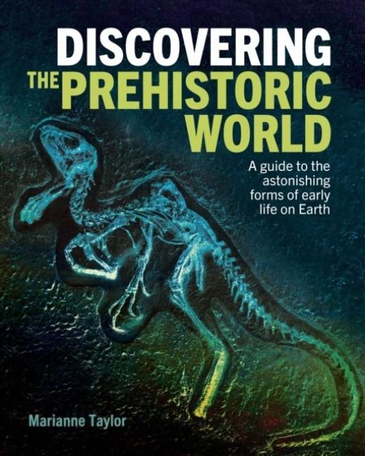 Produktbild: Taylor, M: Discovering the Prehistoric World