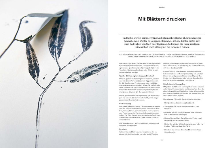Produktbild: 365 Tage Natur: f&uuml;hlen, schmecken, entdecken
