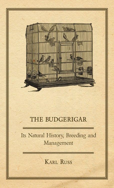 Produktbild: The Budgerigar - Its Natural History, Breeding and Management