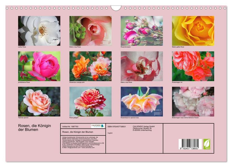 Produktbild: Rosen, die K&ouml;nigin der Blumen (Wandkalender 2026 DIN A3 quer), CALVENDO Monatskalender