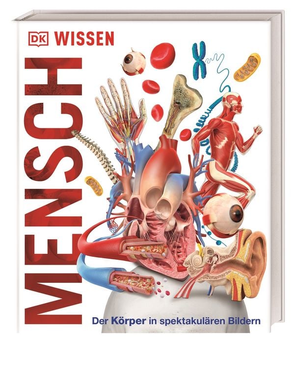Produktbild: DK Wissen. Mensch