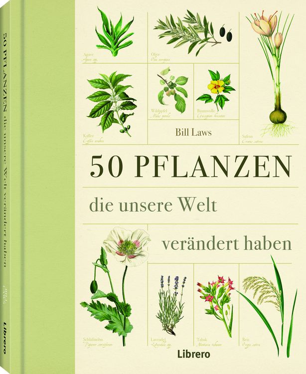 Produktbild: 50 Pflanzen