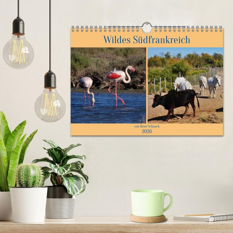 Produktbild: Wildes S&uuml;dfrankreich (Wandkalender 2026 DIN A4 quer), CALVENDO Monatskalender