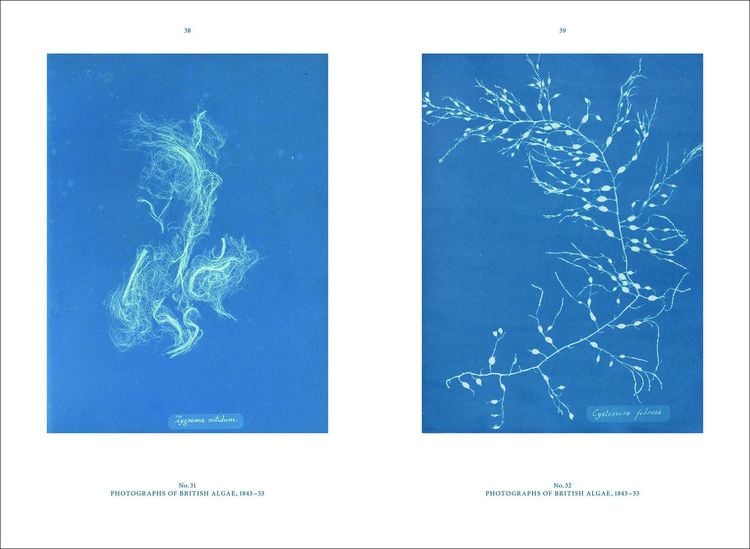 Produktbild: Anna Atkins
